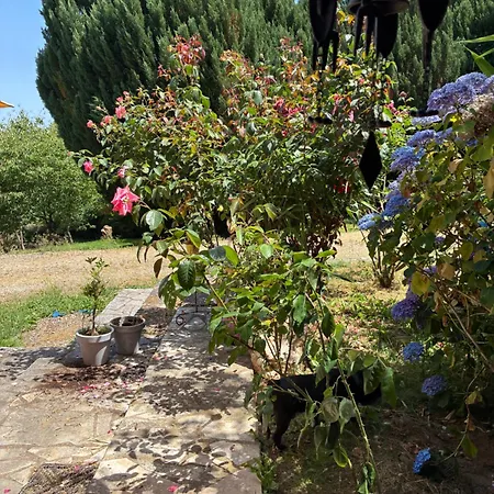 D'hôtes Bonheur 3 Pers Piscine Et